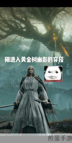 艾尔登法环黄金树幽影,斯卡杜阿尔特斯灰烬祝福寻觅之旅