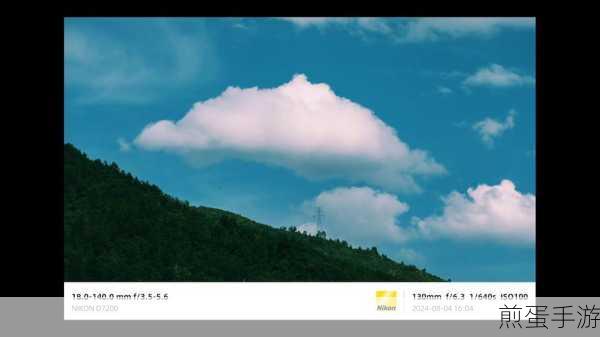 尼康D7200相机手动模式为什么照出来发黄:背后的真相与解决之道