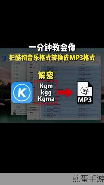 酷狗音乐不显示粉丝怎么设置，成为音乐隐私保护达人