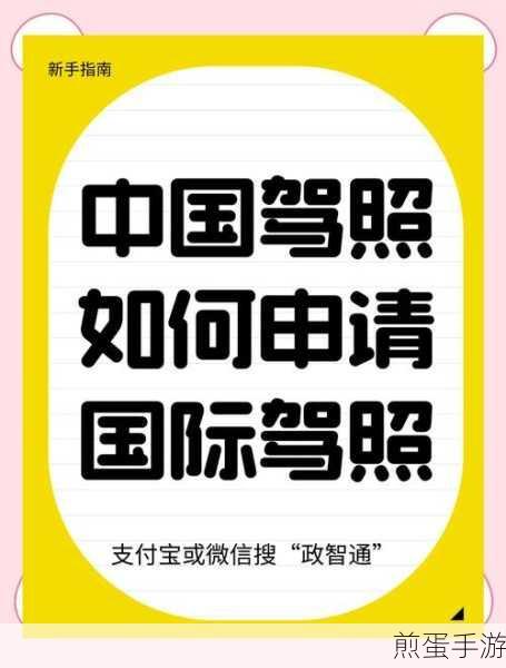 支付宝怎么申请国际驾照,解锁全球出行新姿势