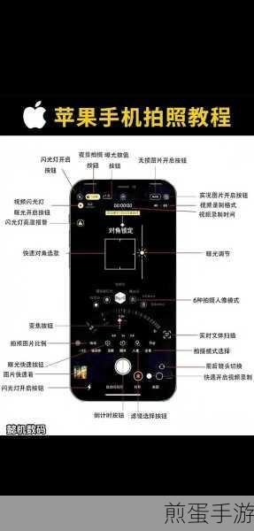 苹果7plus怎么截长图，掌握这一技能让你玩转手机