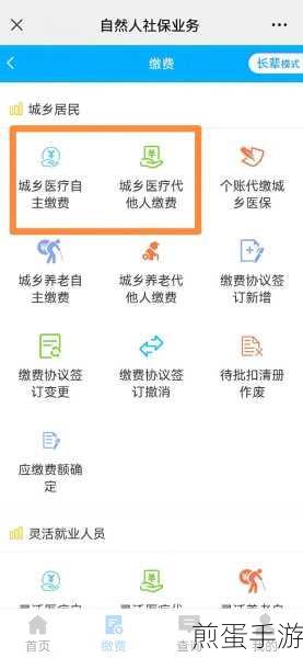 农村医疗保险网上怎么缴费，掌握这些技巧轻松搞定