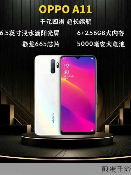 Oppo 手机 A11s,性能卓越的千元机新宠