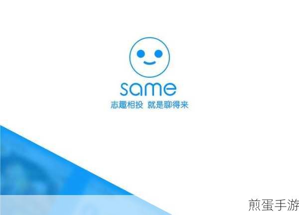 SameApp 好玩吗 SameApp 安全吗,深度解析引发全网热议