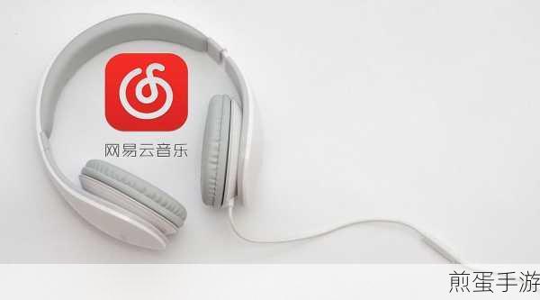 网易云音乐测试中心在哪，探索背后的神秘世界