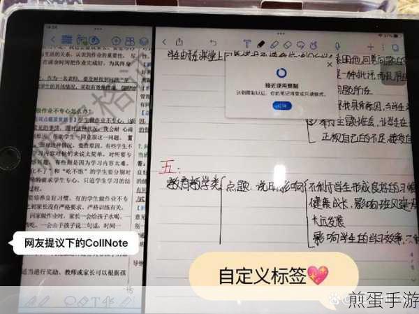 Notability有直尺工具吗,热门笔记软件的实用工具探索