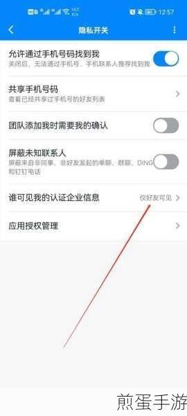 钉钉怎么设置摄像头权限，成为钉钉操作达人的必备秘籍