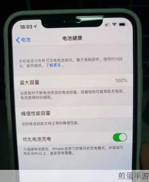 苹果手机如何延长电池寿命，掌握这些技巧让你的手机电力满满
