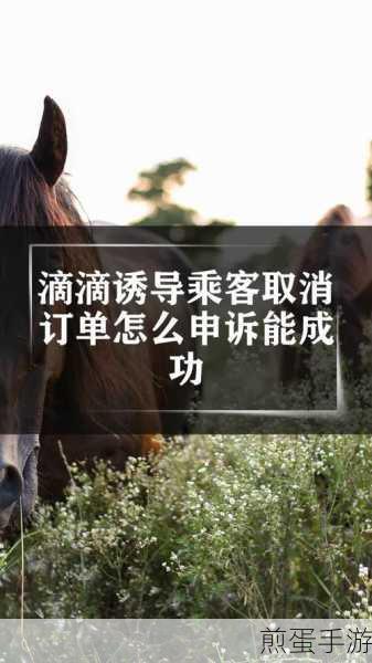 滴滴订单结束怎么联系司机,掌握这些技巧让沟通更顺畅