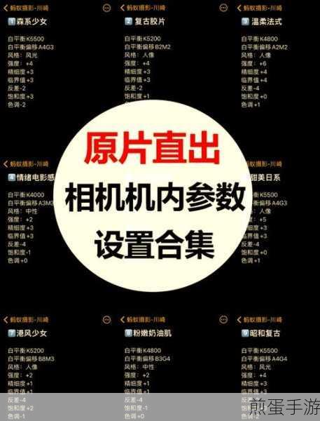 苹果 13 相机摄影风格在哪里调整 相机摄影风格调整位置介绍，成为摄影达人的必备秘籍