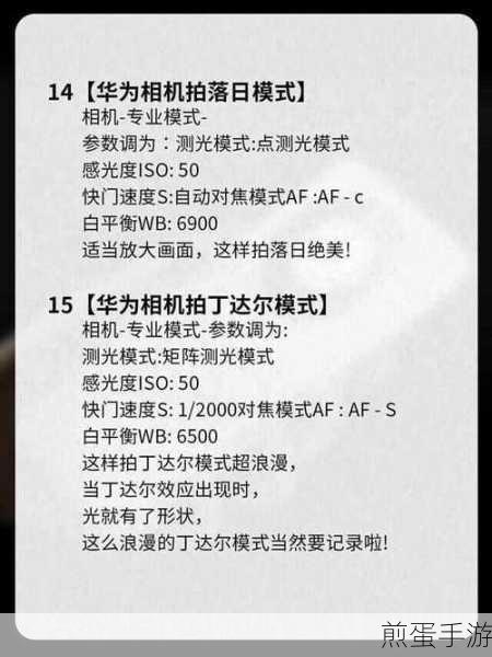 华为 p40pro 相机怎么设置,成为摄影大师的必备秘籍