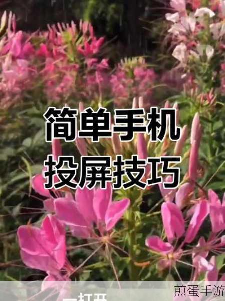 小米 9 手机怎么投屏电脑使用,掌握这些技巧让投屏更轻松