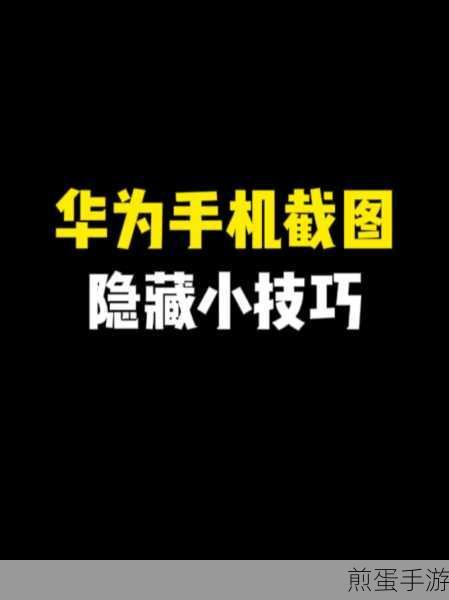 华为p30pro截屏设置在哪,热门手机功能探索指南