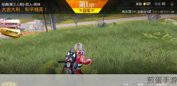 和平精英薄荷蓝莓套装全攻略,图鉴与获取秘籍