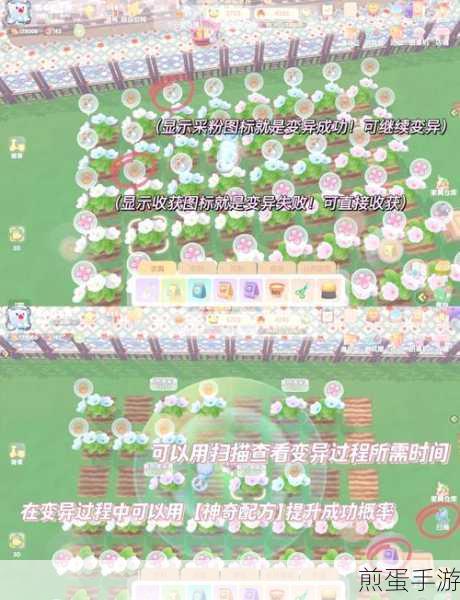 摩尔庄园手游，揭秘奇异毛毛豆的独家食谱与制作秘籍