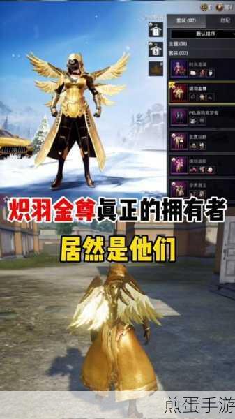 和平精英炽羽金尊获取攻略，解锁顶级装扮的秘籍