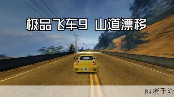 极品飞车9最高通缉,漂移艺术深度解析