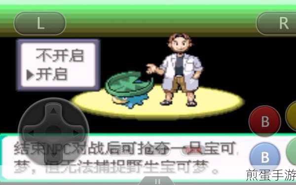 口袋妖怪绿宝石493版下载-特别版本的口袋妖怪游戏，成为宝可梦大师的必备秘籍