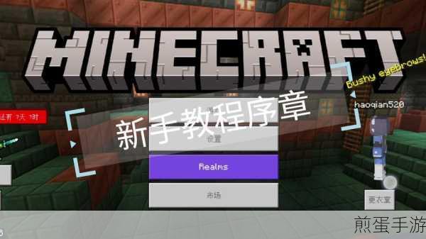 我的世界国际版全模组解锁版下载_风靡全球的沙盒冒险生存游戏,畅玩无限可能
