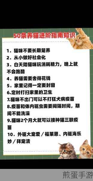 猫的生活免费下载_猫咪治愈系列的养成玩法,成为猫咪达人的必备秘籍