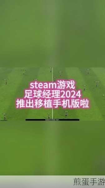 足球经理2024手机版下载_非常好玩的足球俱乐部游戏，带你玩转足球世界
